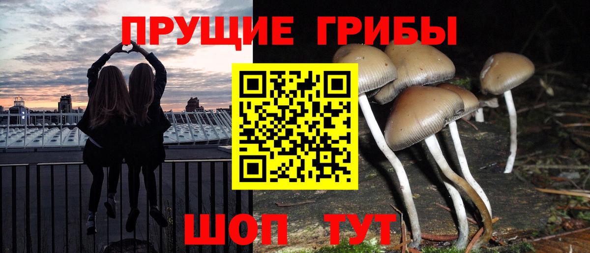 Галлюциногенные грибы Cubensis  Вход с VPN  Можайск 